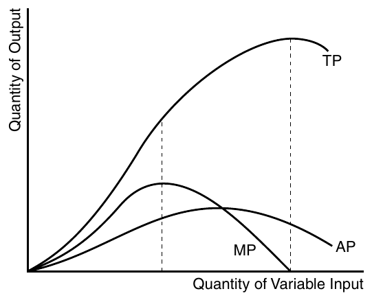 CED p.168 Production Function — TP/MP/AP