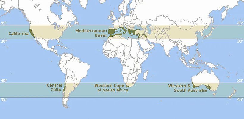 Mediterranean climate regions of the world