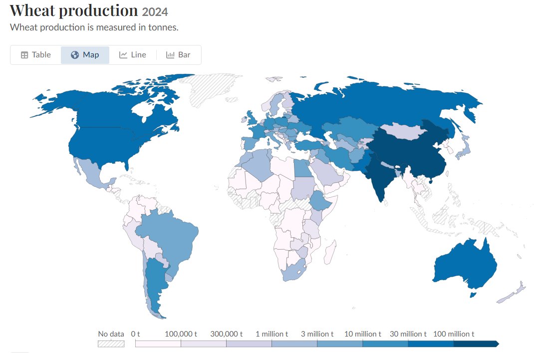 Wheat production 2024